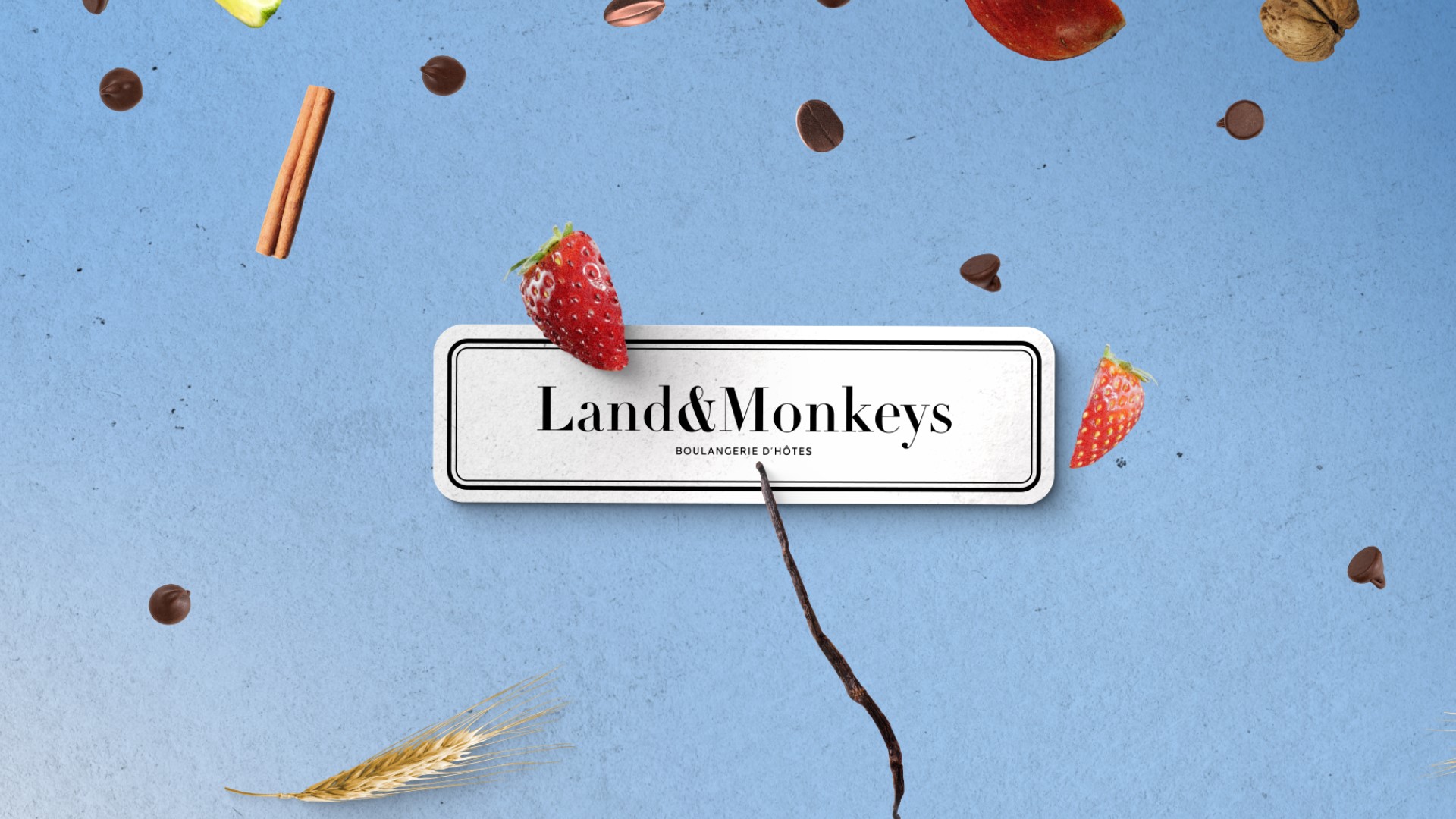 LandMonkey_10_LandMonkeys_01_2022-11-02_15.53.45